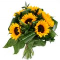 sunflowers