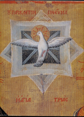 /image 12