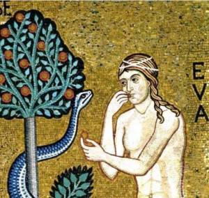 Screenshot 2026 02 19 120416