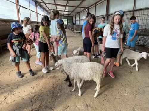 viber image 2025 08 12 09 44 04 664