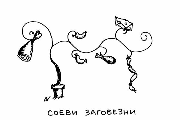 DSCN1434