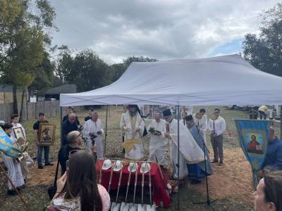 viber image 2026 01 19 08 24 40 287