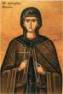 Pelagia.jpg