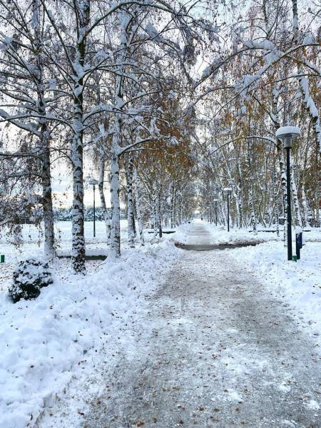 Snow