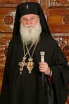 митрополит Дометиан