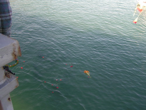 PICT1829.JPG