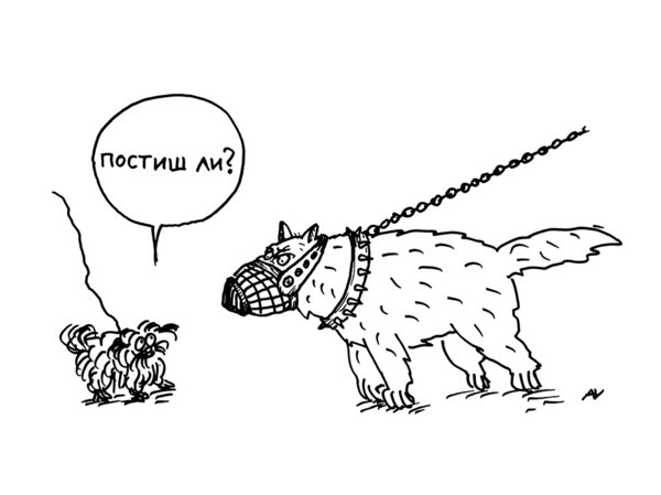 pict47.jpg