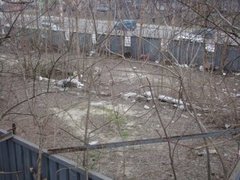 1_9.jpg