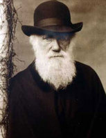 Дарвин