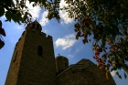 th_114.jpg