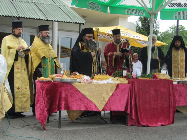 Picture 019-640x480